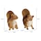 Nature Spring Set of 2 Squirrel Statues, Resin Animal Figurines for Outdoor Lawn and Garden Decor, Flower Beds 188671EZD - alternate 2